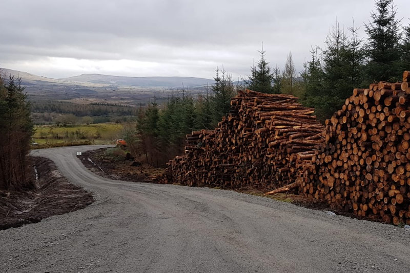 forestry in Ireland